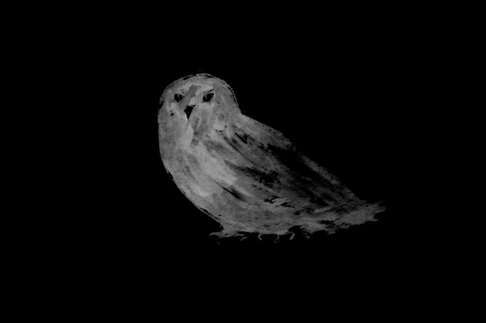 K © MassimoSaverioMaida