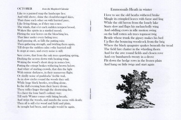 Thumbnail: John Clare