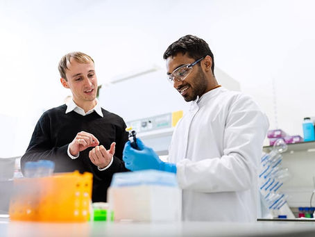 What Careers Can You Have with a Degree in Biomedical Engineering?