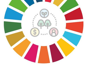 #6 - Práticas disciplinares