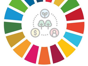 #5 - Discriminação