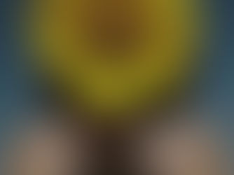 Estamos a alargar as opções de cores de tingimentos naturais.