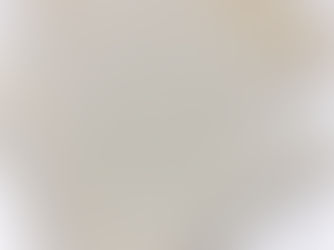 Meio-branco do algodão sem utilizar químicos e temperaturas elevadas? Aqui está a prova!