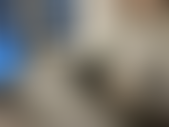 Flexus Hieronta Myyrmäen yrittäjä Lassi Mehtomaa