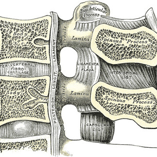Selkäydinkanavan ahtauma jalat puutuu