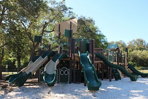 IMG_6960 (800x533)_edited.jpg