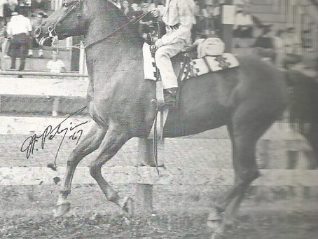 Royalton Hippolyta