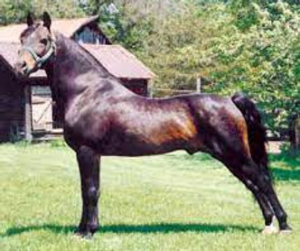 equinox beaubrook.jpg