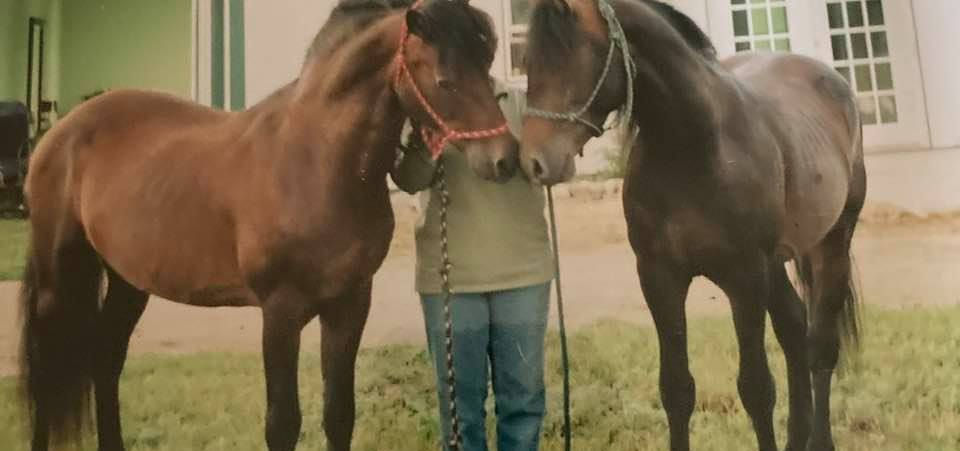 Ethan and Marauder both stallions.jpg