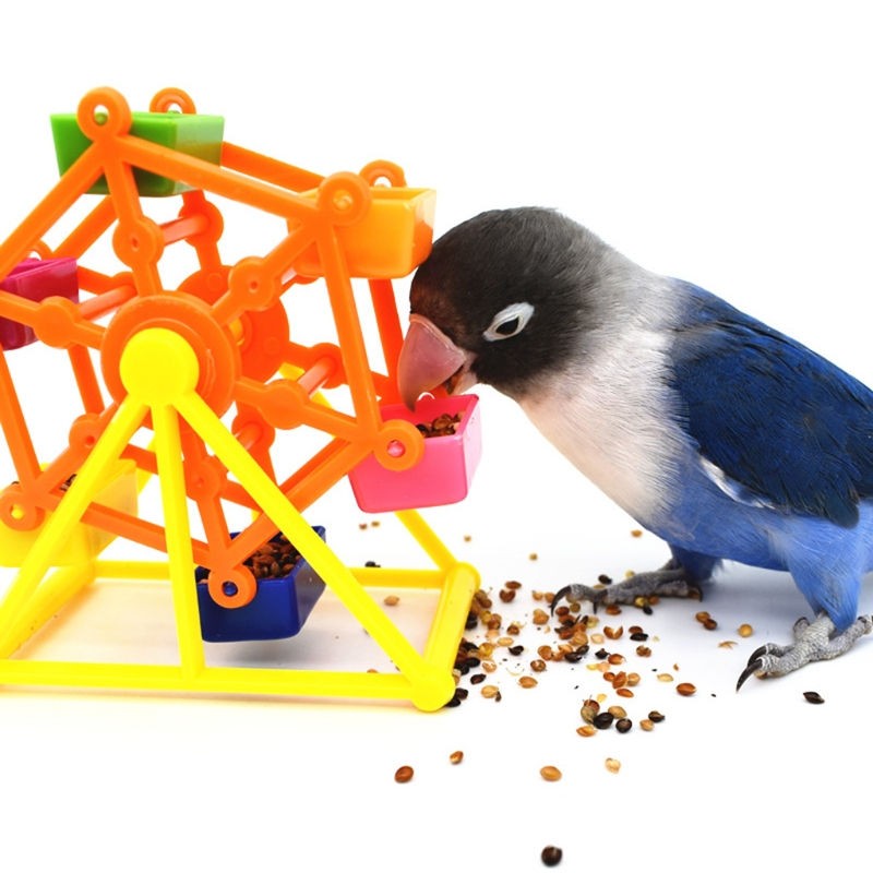 Thumbnail: Colorful Parrot Foraging Toy for Intelligence Growth