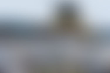 Buried Truths: Fire Debris, Landfills, and the Fight for Ecological Recovery