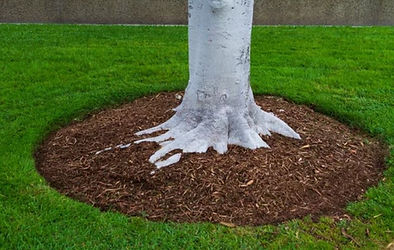 etobicoke-mulching-black-bark-mulch.jpg