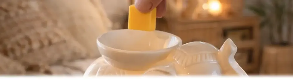 Editions limitées et fins de séries