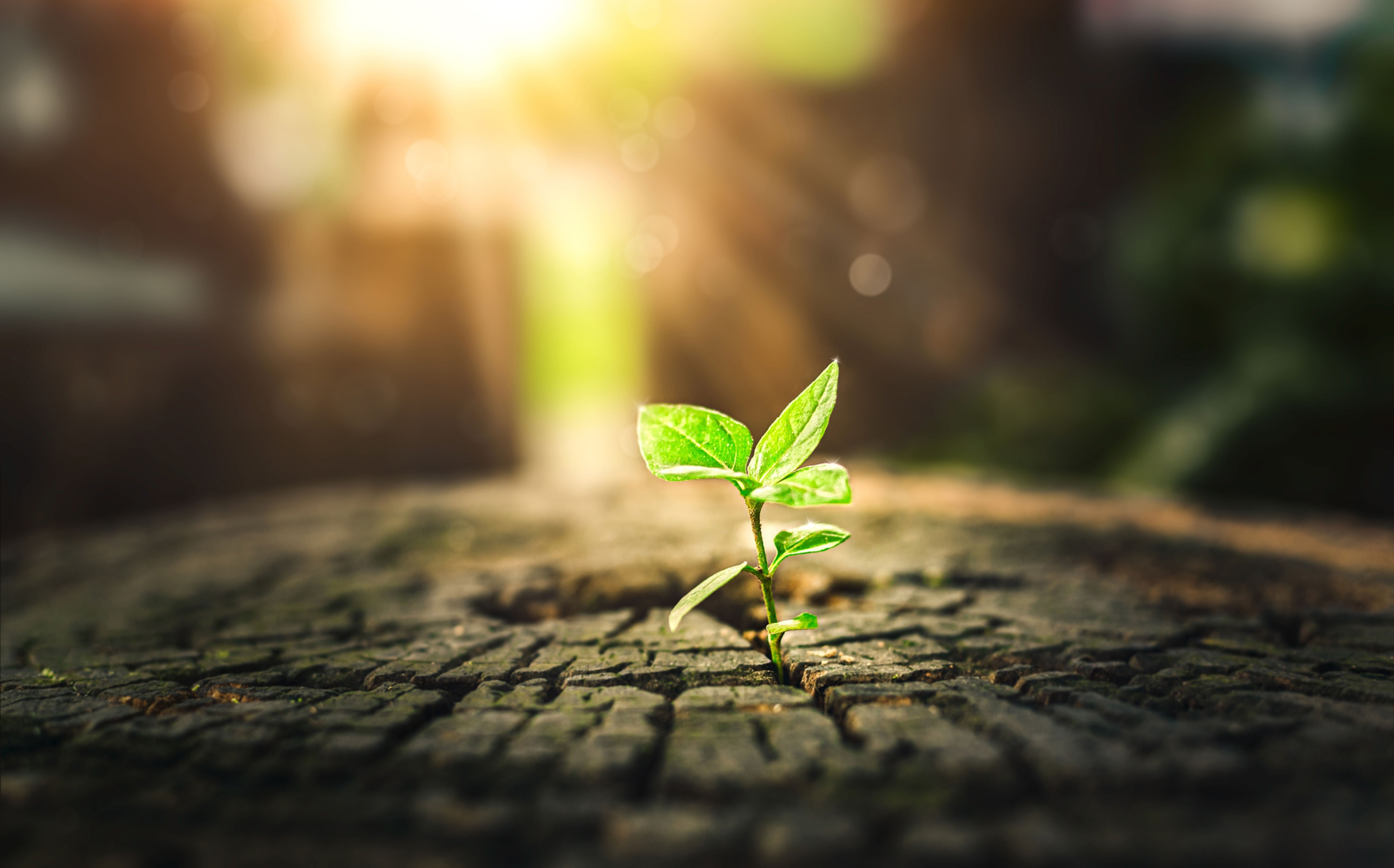 Two women sit on a wooden dock, gazing at a tranquil lake.