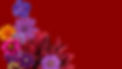 Bild Cnava_edited.jpg