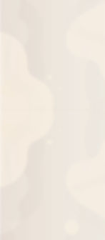 SEM_1204.1_Site_Background_Nossos-Projet