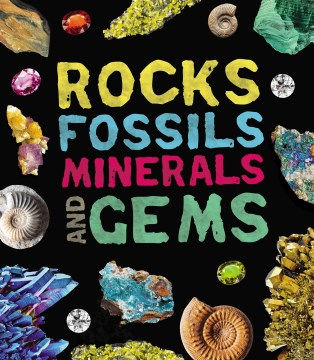 Rocks and Fossils Kit