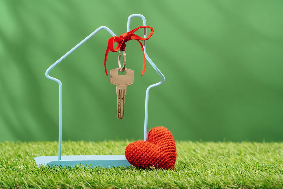 Unlocking the Dream: How Today's Aspiring Homeowners Are Redefining the Path to Ownership