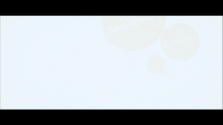 RANDOX.gif