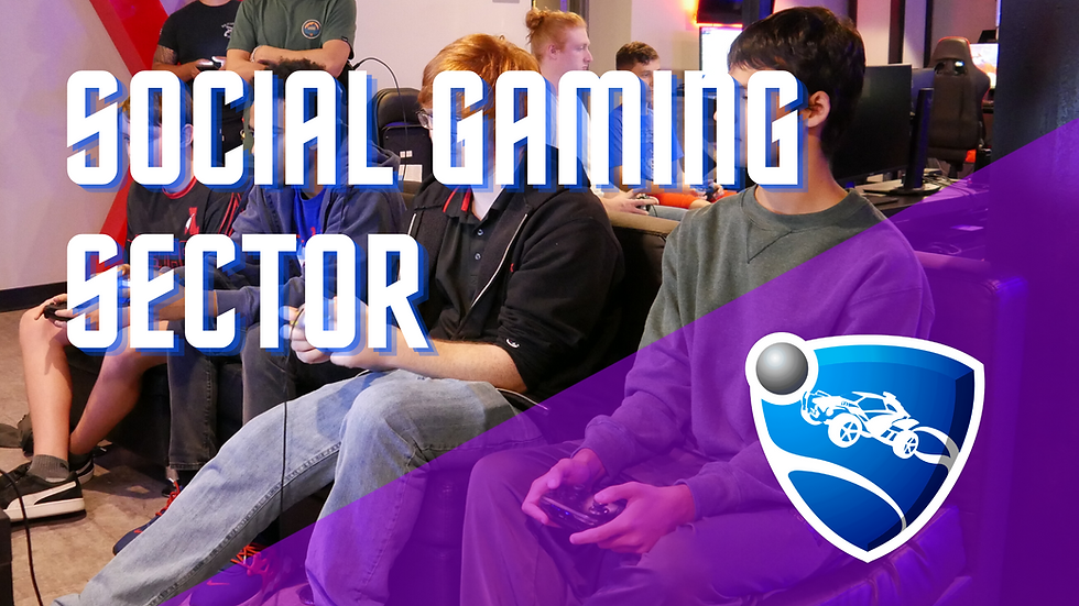 Social Gaming Sector - Rocket League
