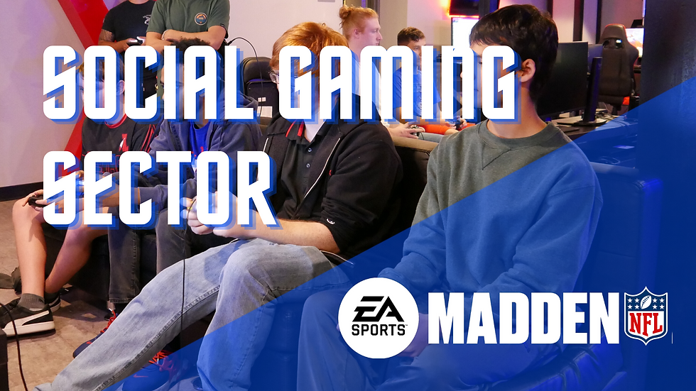 Social Gaming Sector - Madden