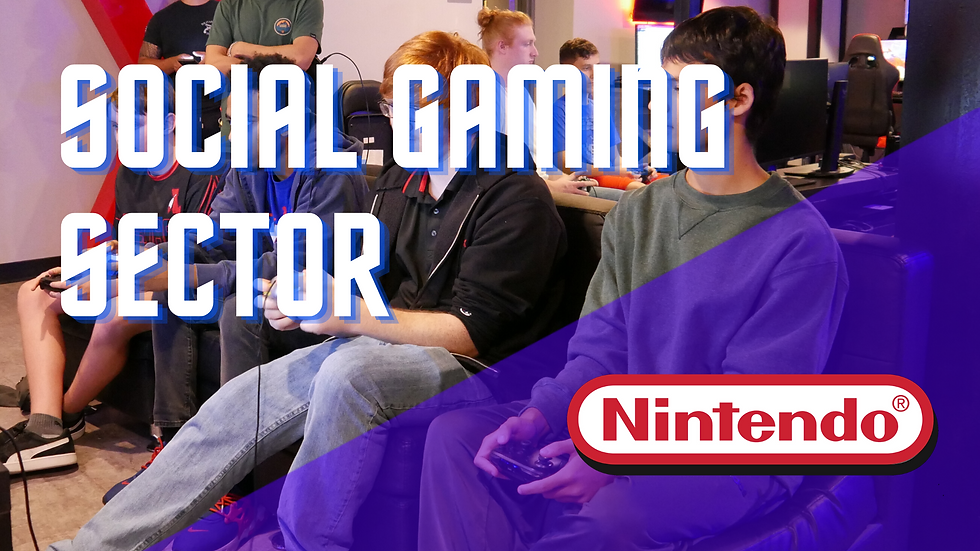 Social Gaming Sector - Nintendo
