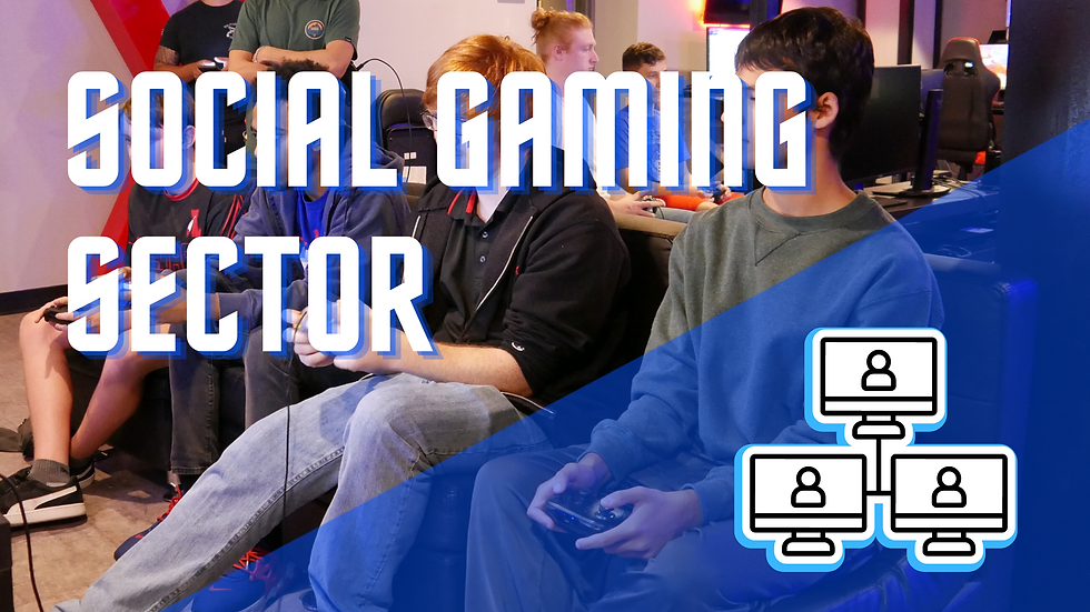 Social Gaming Sector - MMO's