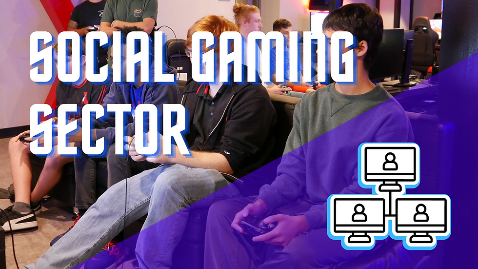 Social Gaming Sector - MMO's
