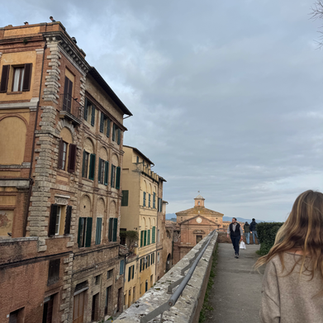 View of Siena 