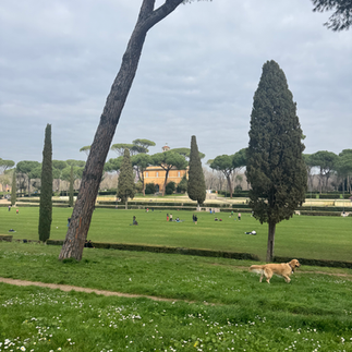 Villa borgese park with a dog 