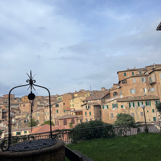 View of Siena from above, lots of old brick buildings