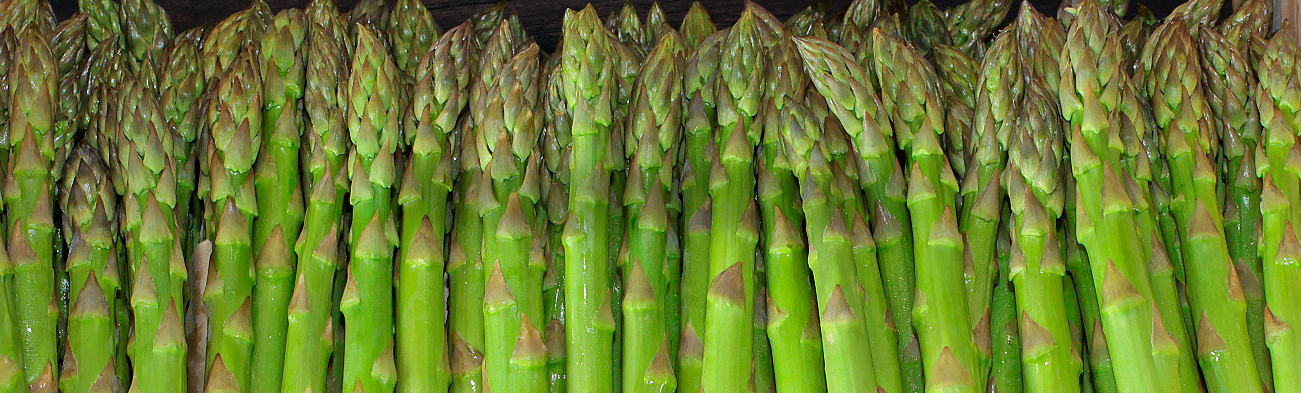 Momack Australia Asparagus Farming & Exporter Koo Wee Rup