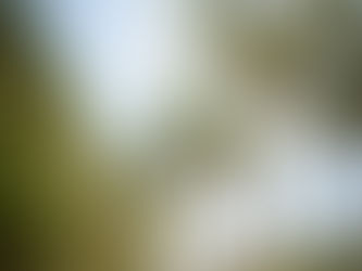 Nicol & Barry - photography by James Carlson