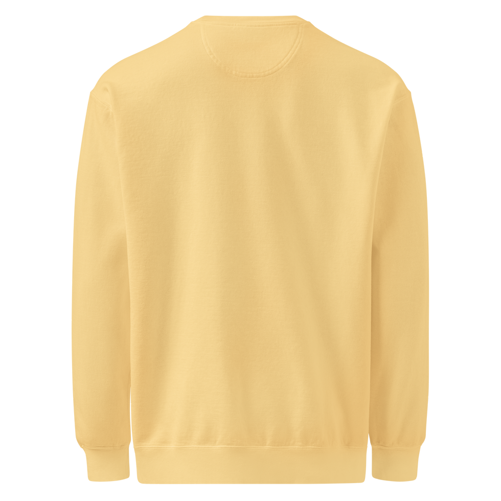 Thumbnail: Dash Media Unisex garment-dyed sweatshirt
