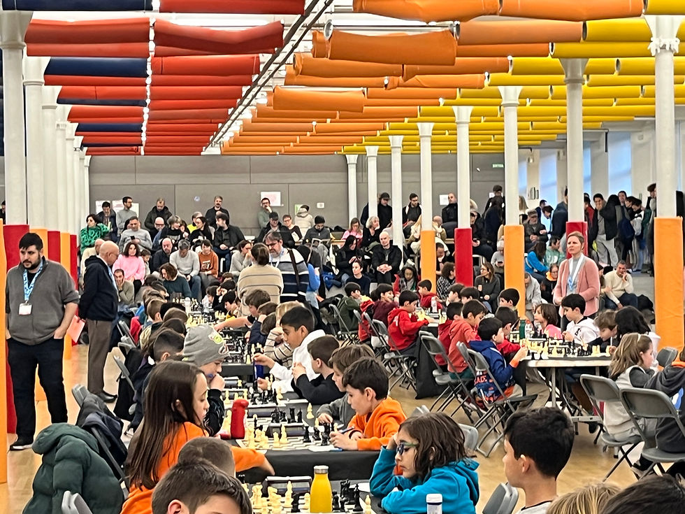 Fase prèvia individual S-8 a S-18. R3 i R4 (31 de gener de 2026)