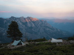 9) „Hi bear“ & Oregon