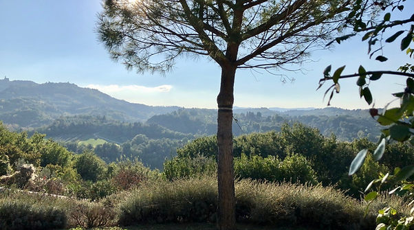 Podere Cillieri - View on Volterra from the terrace