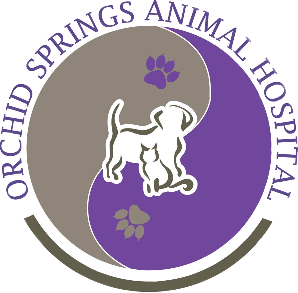 Orchid Springs Animal Hospital | Dog And Cat Boarding | United States Orchid Springs Animal Hospital | Dog And Cat Boarding | United States