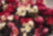 Begonia BADA Boom Mix