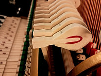 20240530_151902 (1)_edited.jpg
