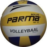 Bola de Volei