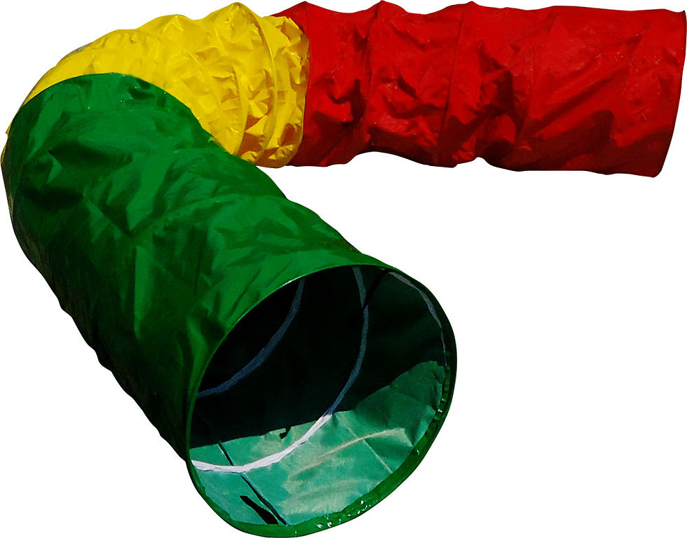 Túnel Centopeia