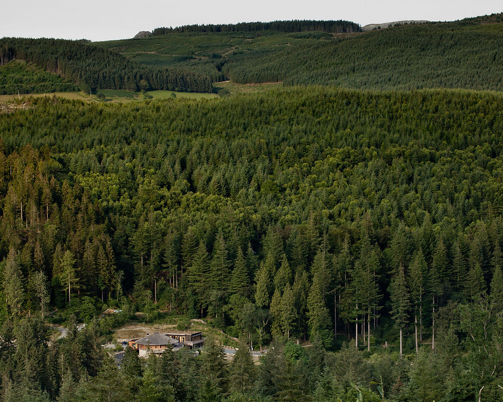 Coed-y-Brenin Visitor Centre