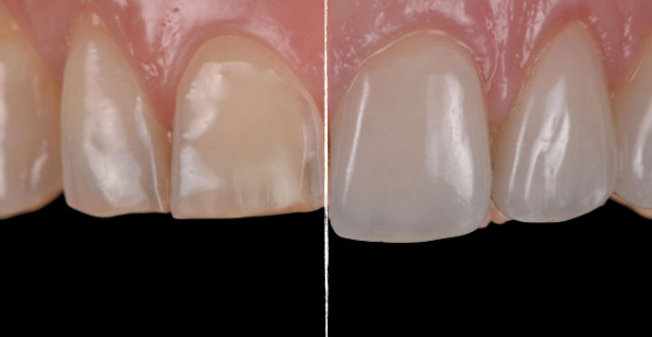 baniere site.017.jpeg