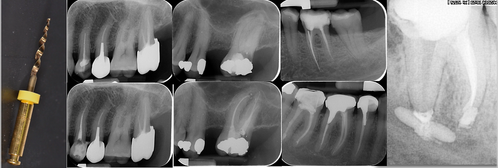 Capture d’écran 2026-01-28 à 16.49.01.png