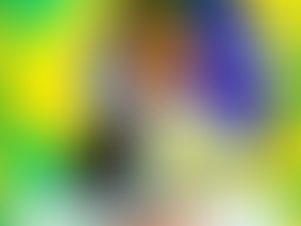 7 de Setembro, a Independencia do Brasil!