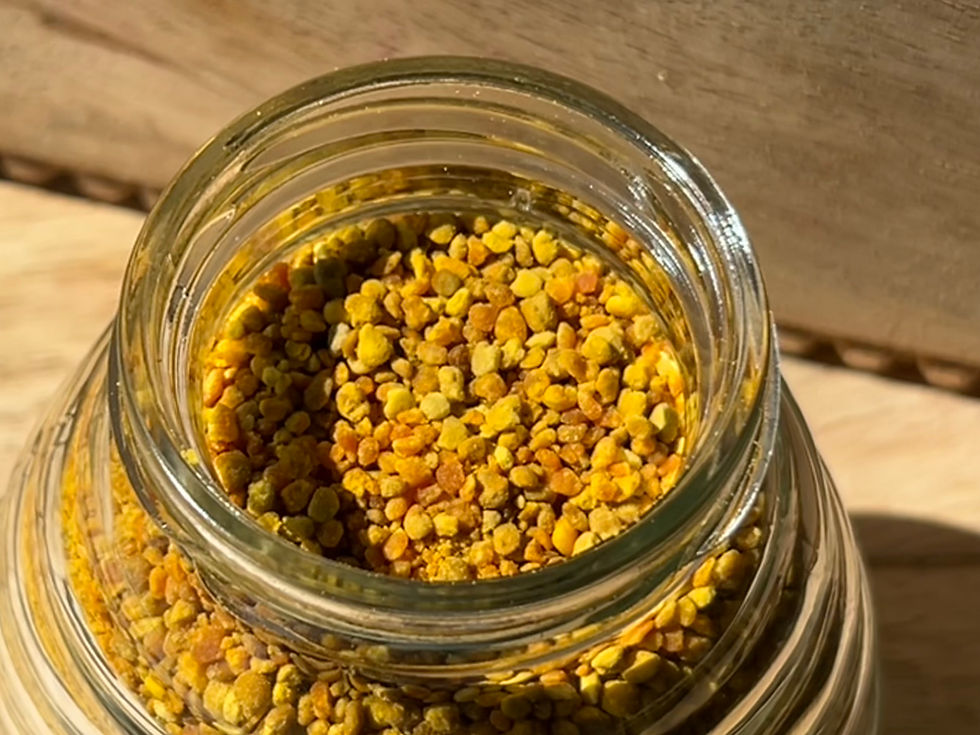 Thumbnail: Bee Pollen 5.8 Oz