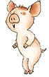 pig.jpg