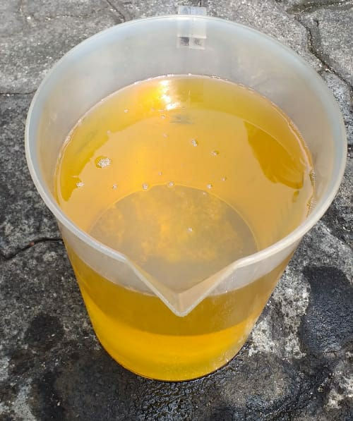 biodiesel belijelantah