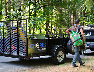 lawn-care-servi e-delphi-wa-neighborhood
